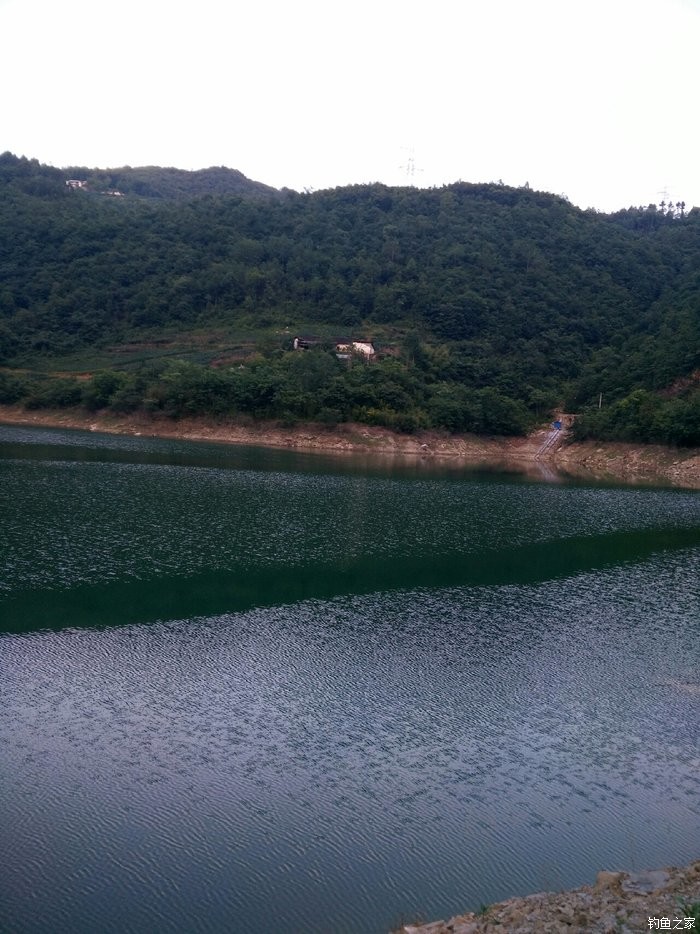 坪水河水库野钓三天 天元饵料钓草鱼 钓鱼之家