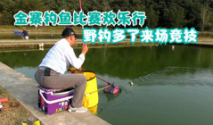 《悠然小钓》安徽金寨钓鱼比赛欢乐行，钓多了野钓来场竞技，冠军还真是意外!