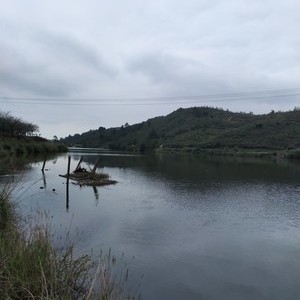 东风水库钓鱼天气