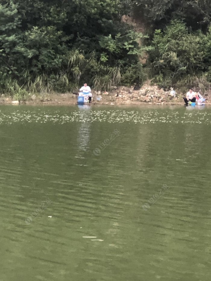 10月6日观洞水库之行 - 钓鱼之家