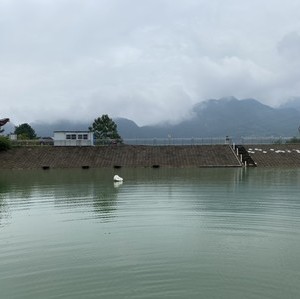 百丈漈水库天气预报