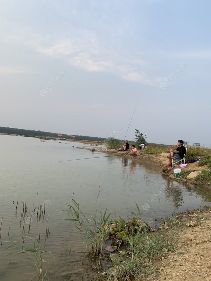 沭阳有多少人口一_沭阳色织一厂老照片