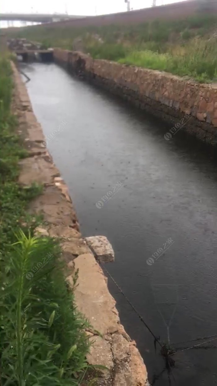 海边虾池里钓鱼,一口没有,全是大鱼