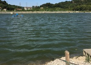 郎家坪水库钓鱼天气_郎家坪水库气压预报_郎家坪水库天气预报 - 钓鱼