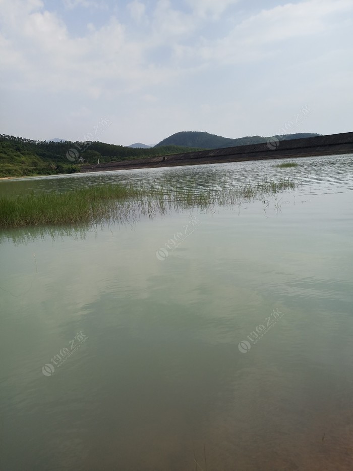 山蕉坑水库_山蕉坑水库钓鱼攻略_山蕉坑水库可以钓鱼吗 - 钓鱼人