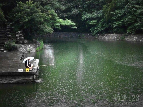 釣魚與天氣