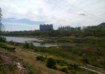 金水河