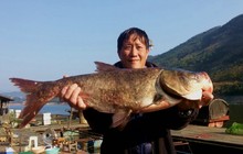 初春筏釣萬峰湖爽釣羅非大鰱鳙