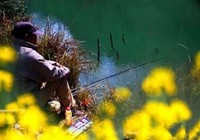 春季北方水库钓鱼八大技巧分析