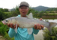 巨物脫鉤離我去,悶熱半水擒大青