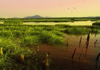 《路亞釣魚視頻》三探北大荒濕地頻上大黑魚