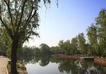 東大營水鄉生態園天氣預報