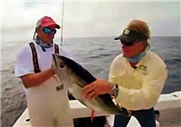 《路亚钓鱼视频》 外国钓友近海海面钓获超大金枪鱼