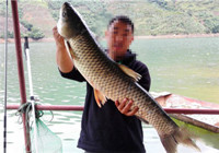 初冬玉米餌野釣云盤(pán)山斬獲大草魚(yú)大鯉魚(yú)