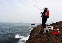 海钓扒皮鱼的垂钓技巧与注意事项