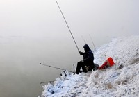 冬季钓鱼时的窝料和饵料搭配技巧