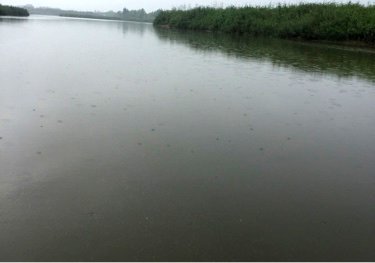 柳清河