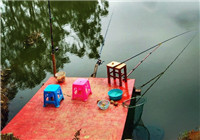 夏季钓草鱼的饵料和钓位选择技巧（下）