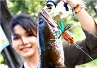 《钓友原创视频》美女带你吃喝玩乐路亚黑鱼！