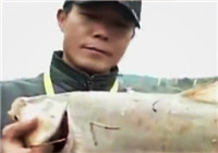 《中国垂钓周刊》第34期 广东惠州150人捕鱼大赛完满落幕