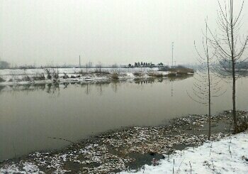 黄河故道