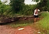 《垂钓对象鱼视频》 夏季湖边男子路亚竿钓草鱼