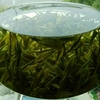 绿茶专卖