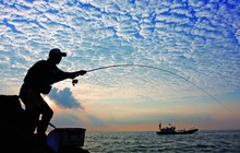 萊州灣海釣花臉魚(鱸魚)技巧分析