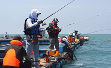 《海釣玩家》第62集 福建“莆澳杯”海釣邀請賽