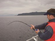 海水路亞釣具裝備和常釣對象魚種