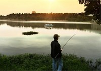 夏季垂钓几种常见钓法技巧
