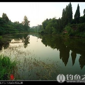 项荒一水库