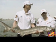 《釣點大對決》第52集 天津靜海垂釣園挑戰巨型鱘魚(2)