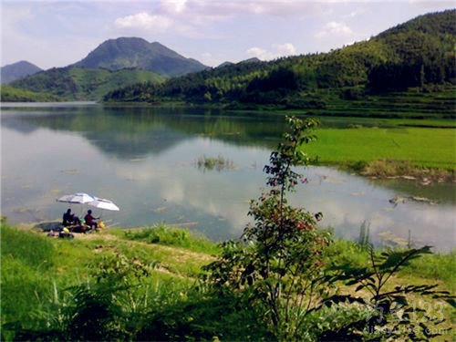 夏季釣魚(yú)