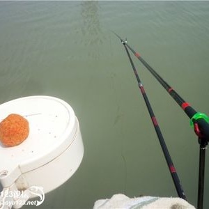 【钓鱼123征文】天晴气温上升 鱼口好转送鲤