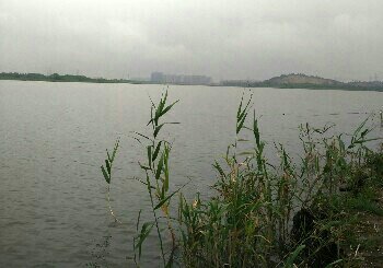 官莲湖