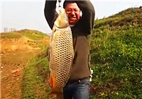 《垂钓对象鱼视频》 春季男子水库海竿钓鲤鱼