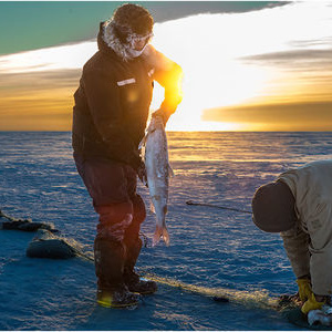 冬季钓鱼必杀技—红虫的选择与保鲜