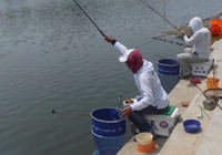 《釣技研》第1集 廣州東圃草魚王垂釣基地釣羅非
