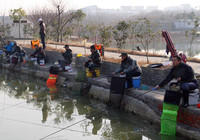 《去钓鱼》第87集 北京市钓鱼协会举办冬季会员积分钓鱼比赛