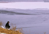 冬季水库野钓鲫鱼的钓组搭配技巧