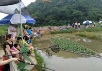 王塘水库天气预报
