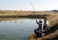 冬季在池塘里钓鱼的四个关键技巧
