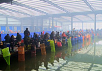 《去钓鱼》第95集 北京市钓协会员钓鱼比赛