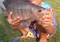 《釣友原創(chuàng)釣魚視頻》 小兄弟塑料魚竿釣獲大羅飛魚