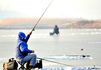 冬季钓鱼时气温和水温对鲫鱼习性的影响
