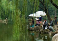 钓友分享夏季遇到雨天钓鱼的优势