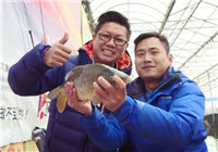 《釣技研》第11集 北京黑坑大棚釣鯉魚