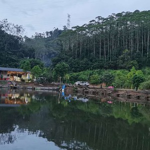 卧龙钓鱼场天气预报