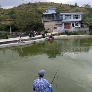 摆勺村旺盛鱼塘